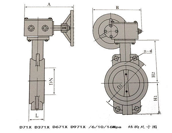 瑞奇閥門_對夾蝶閥結(jié)構尺寸圖